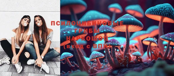 ECSTASY Армянск