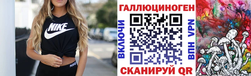 Галлюциногенные грибы Psilocybine cubensis  Приморско-Ахтарск 
