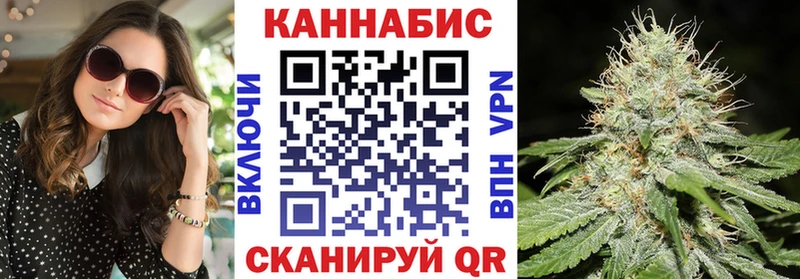 Шишки марихуана планчик  Приморско-Ахтарск 